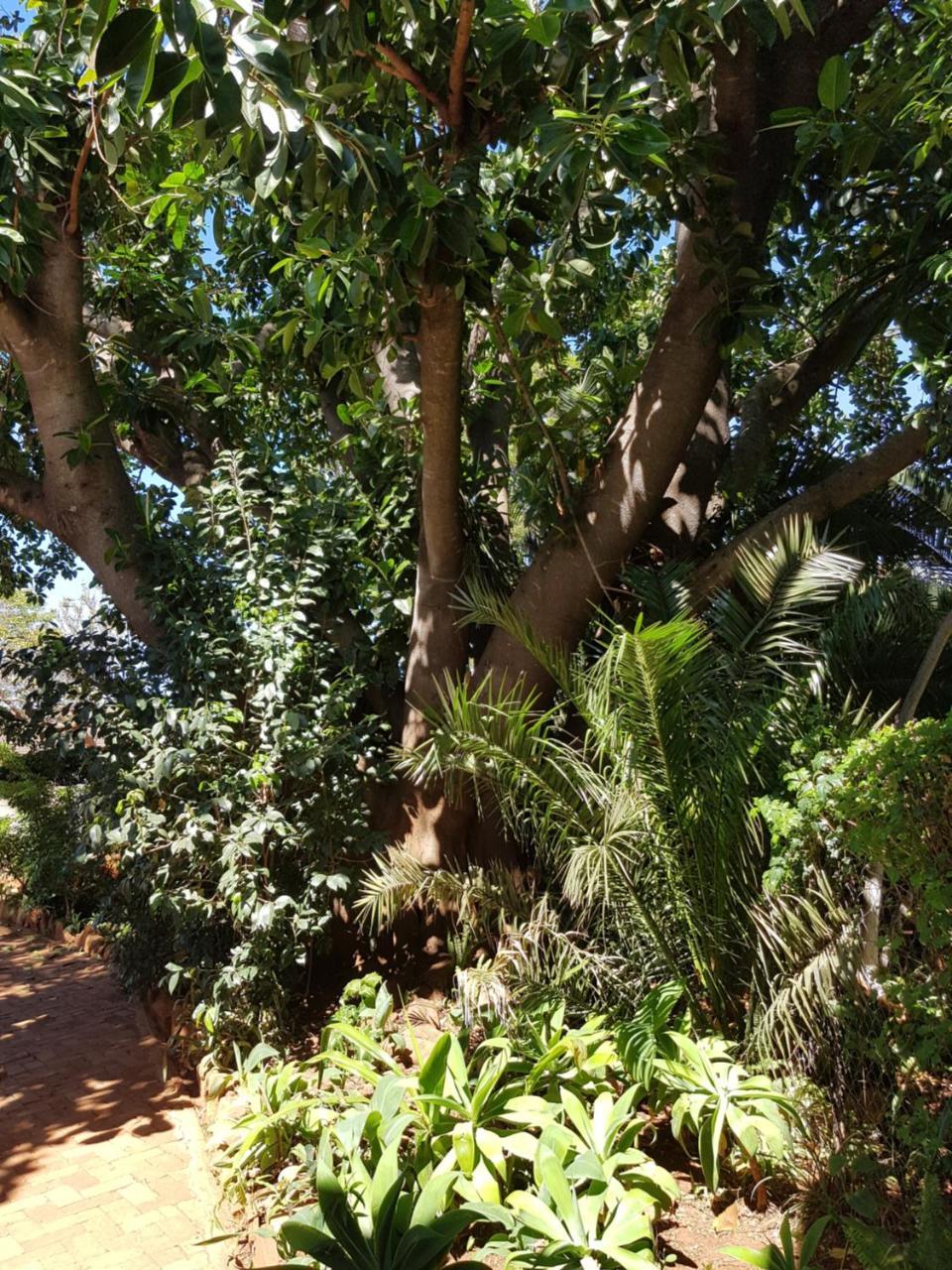 Burnham Road Suite Guest House Bulawayo Exterior photo